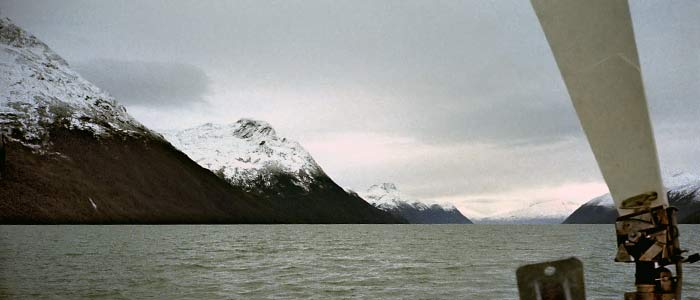 canal beagle