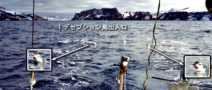 leaving Deception island