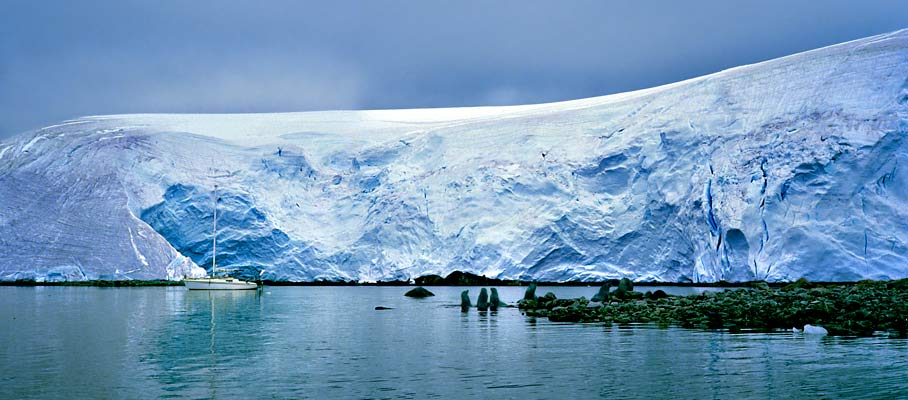 melchior islnand's shoal