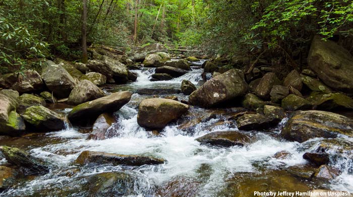 mountain stream in California