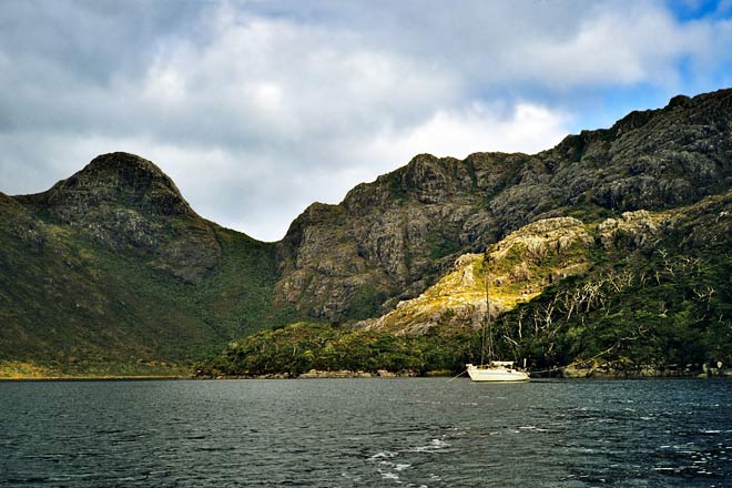 tamar island  マゼラン海峡タマール島